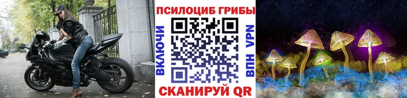 Галлюциногенные грибы MAGIC MUSHROOMS  как найти закладки  Тайшет 